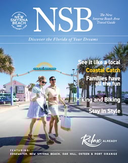 NSB Travel Guide 2026 v7D - Cover