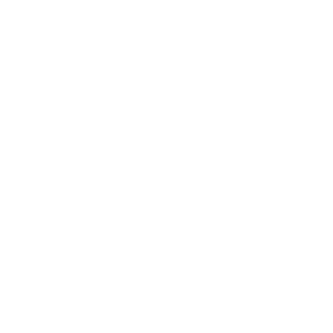 NSB-Logo-URL-ForRecipLink-White