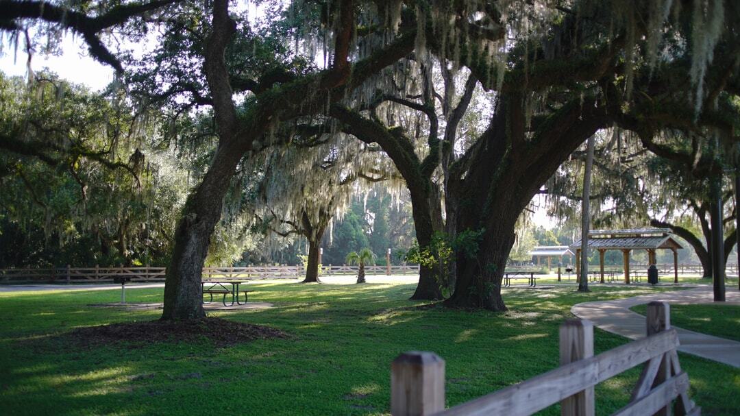 Beck_Ranch_SSNIiMJdo_7sxEVsz8nQV0s18q0ABlZBh_rgb_l-1