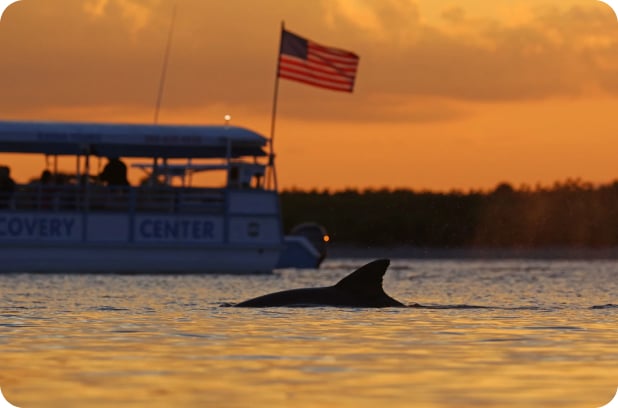 Image-Mar-23-2026-05-20-11-1830-AM