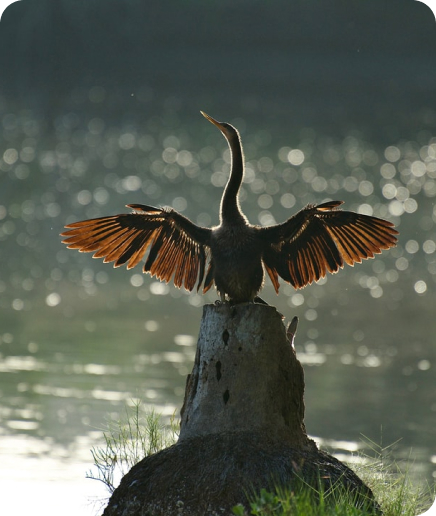 Journey To 2030 by World Tourism Organization