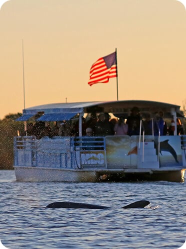 Marine Discover Center