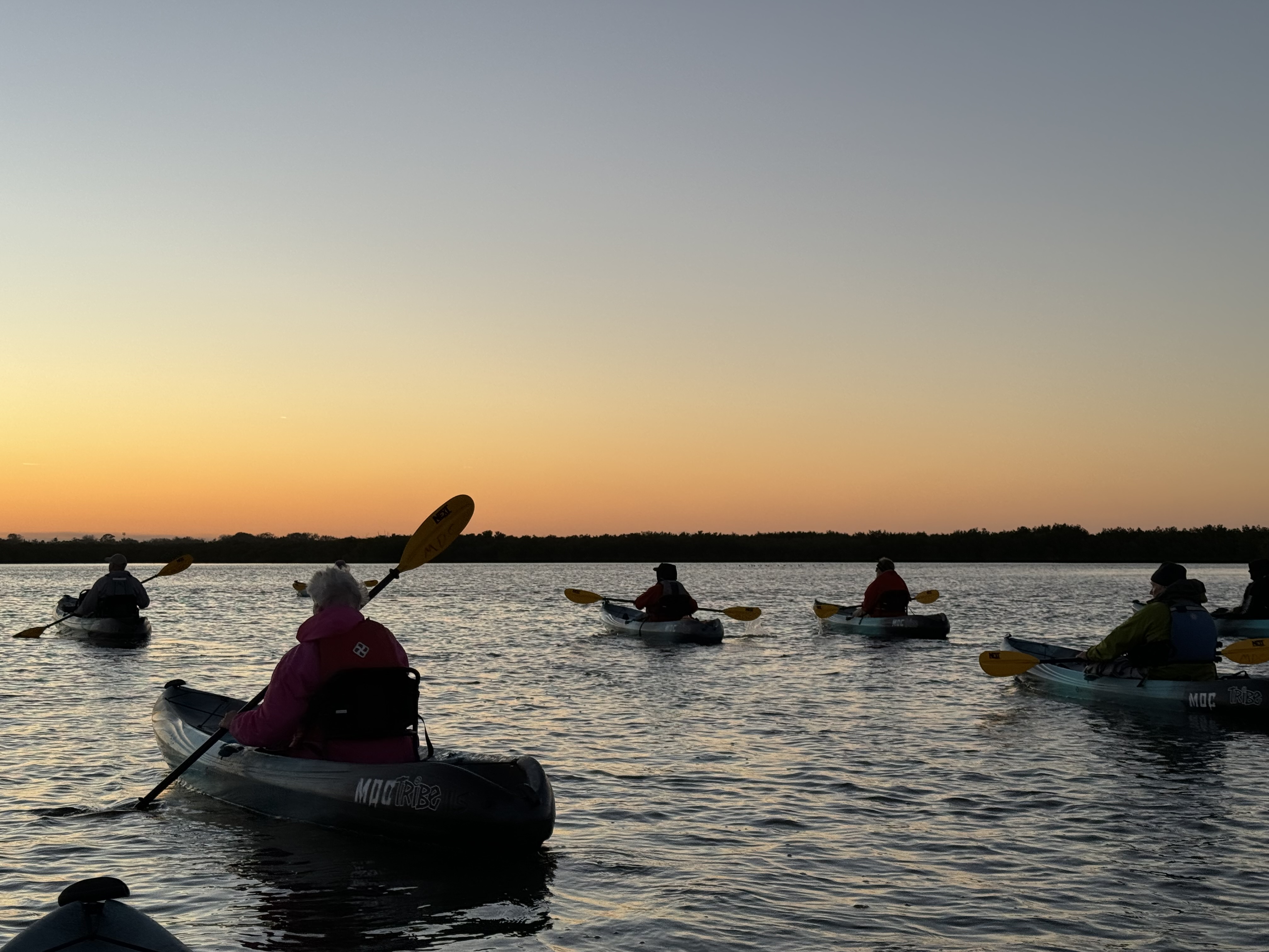 Marine Discovery Center - Summer Camp - HQ
