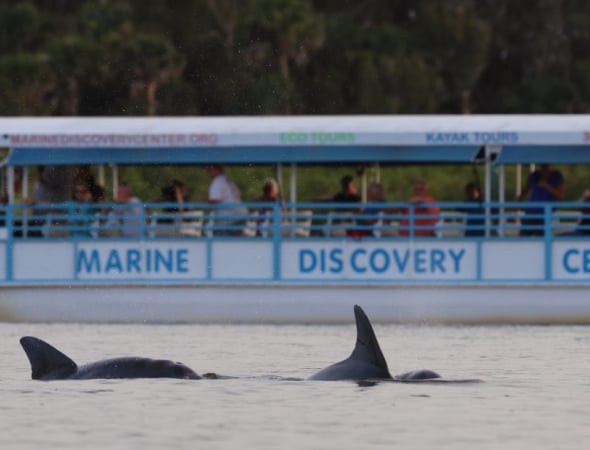Marine Discovery Center