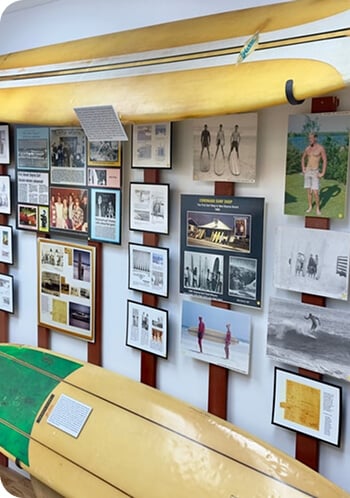 Museum of East  Coast Surfing