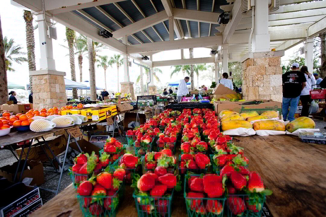 Port_Orange_Farmers_Market_14_SOs1VgZSa9qvavMTtKgMyQr18q0ABlZBh_rgb_l