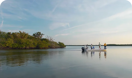 How to Do Florida - NSB