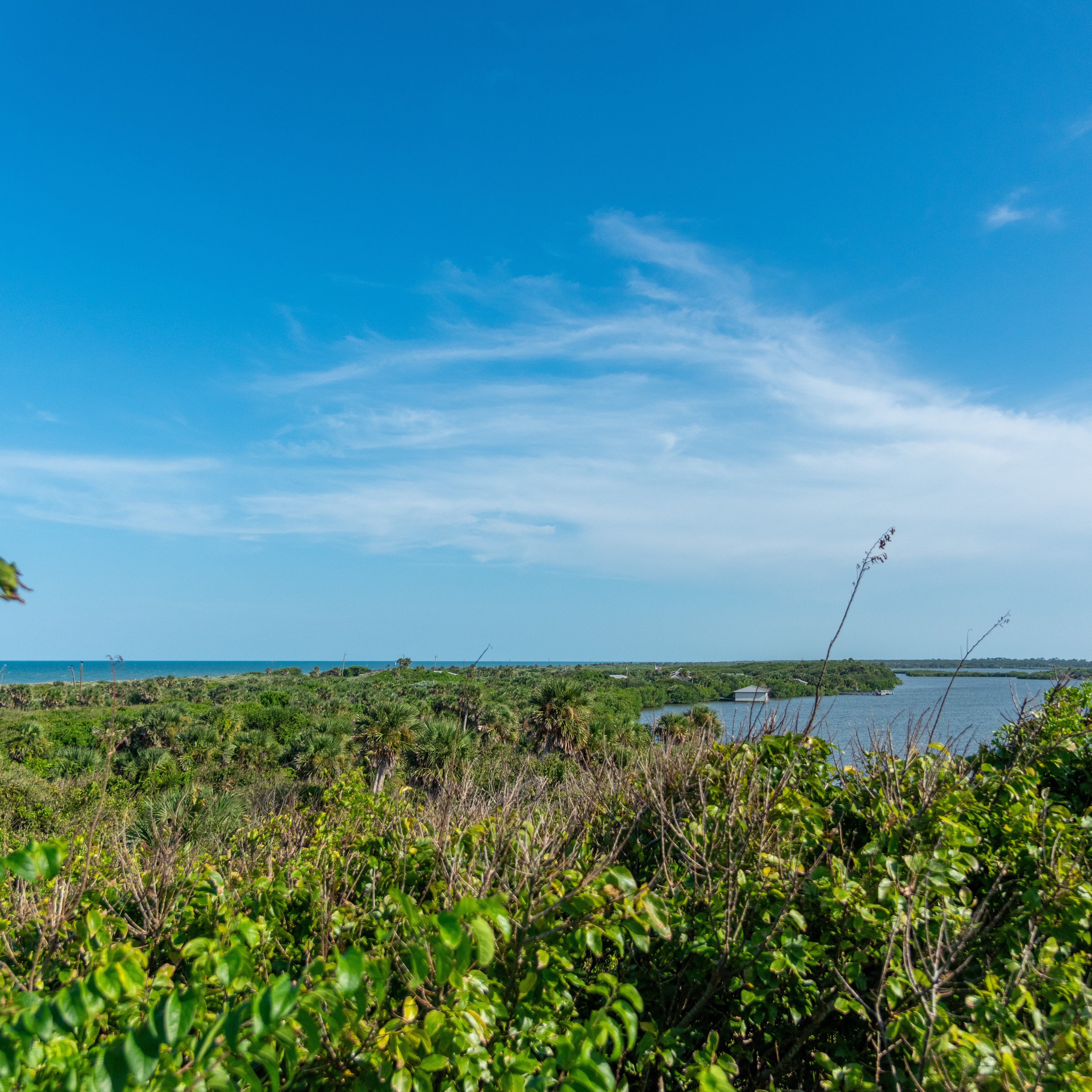 Turtle Mound - Canaveral National Seashore - Viking Ecotours