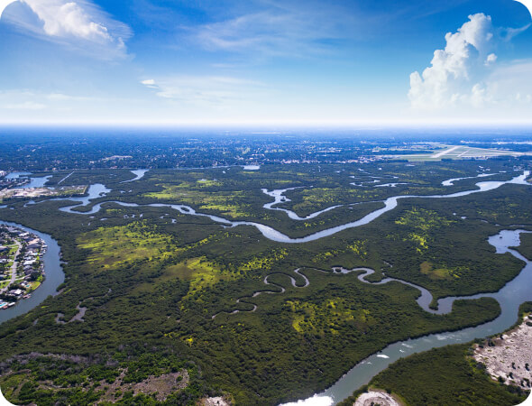 We are Home to Florida’s Most Bio-Diverse Ecosystem