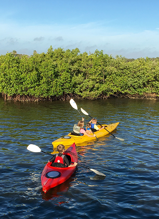 Blueway Adventures