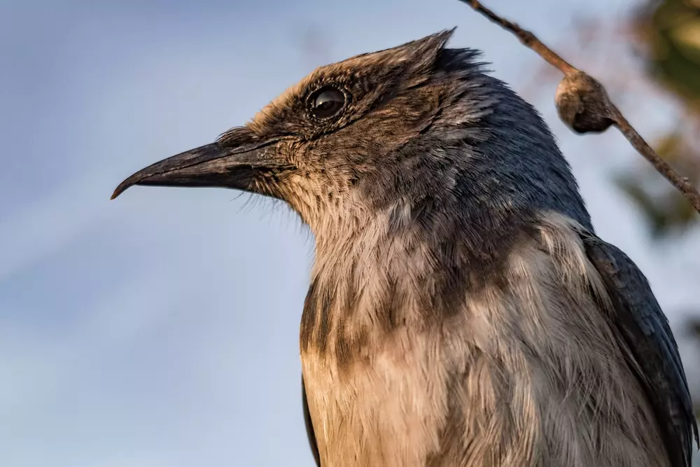 The Sustainability Journey to 2030