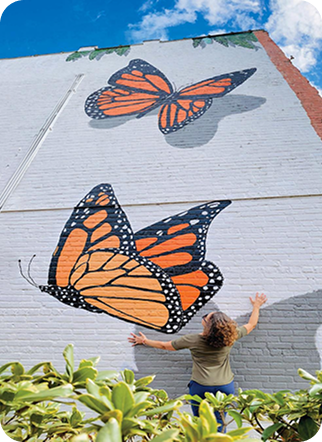 NSB Arts District