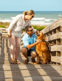 Pet-Friendly
