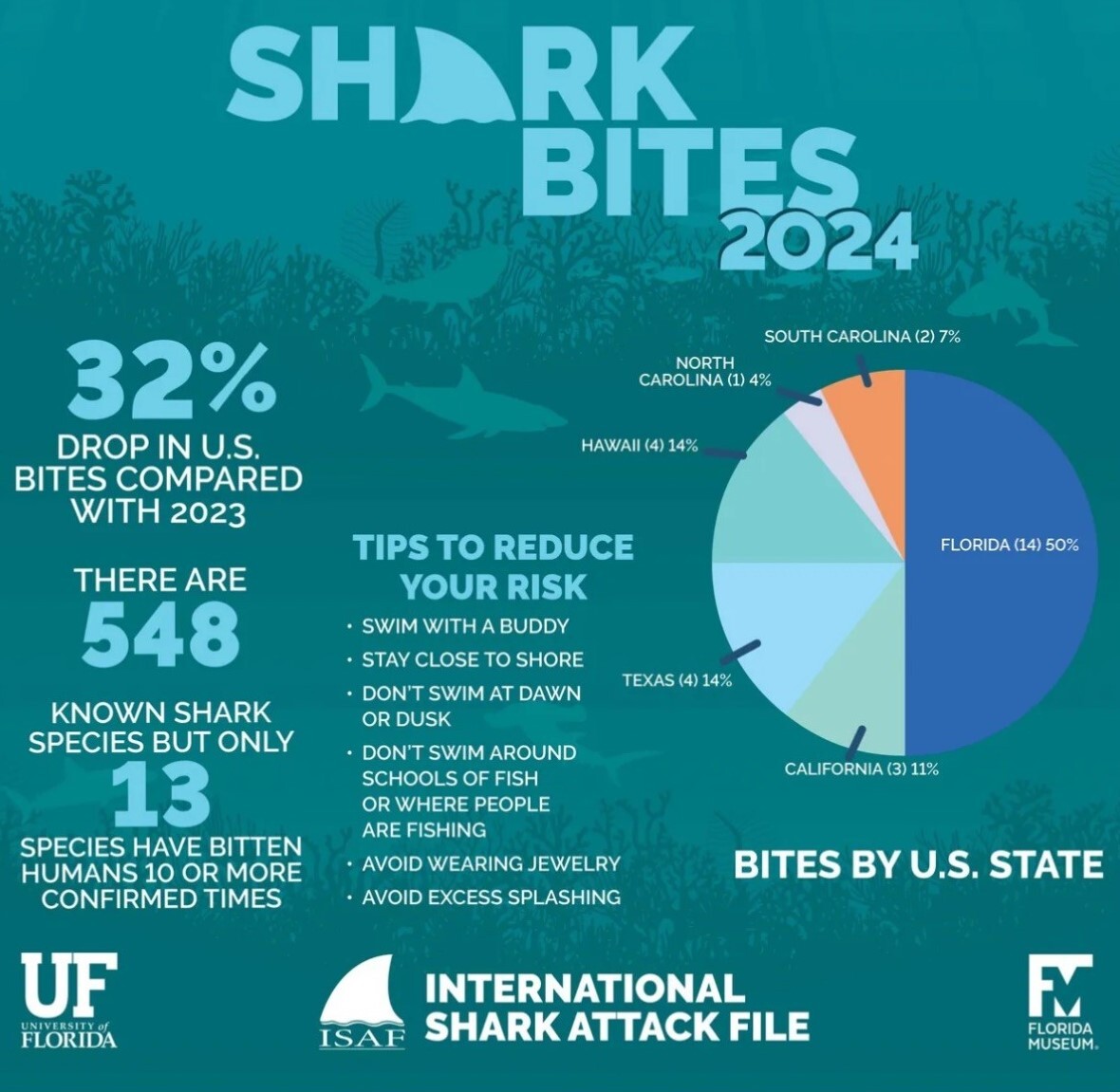 shark graph